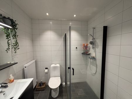 Brunnshögsgatan, Lund - Foto 5