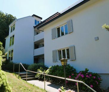 Komplett renovierte Wohnung in stadtnaher und dennoch ruhiger Lage - Photo 5