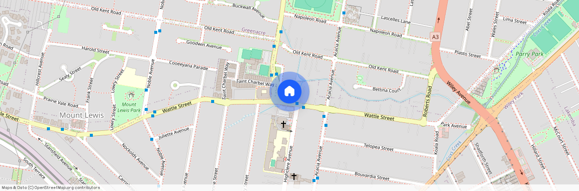 73A Wattle Street, Punchbowl NSW 2196