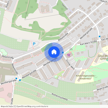 Westbergstraße 50, 08451 Sachsen - Crimmitschau