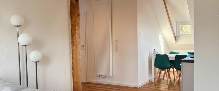 Wunderschöne, neu sanierte 4-Zimmer-Wohnung, ALLES NEU - Foto 1