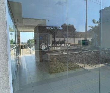 Apartamento com 2 quartos e 39m² para alugar em São Luiz, Gravataí. - Photo 4
