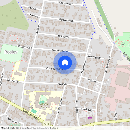 Christiansgade 14, 7870, Roslev