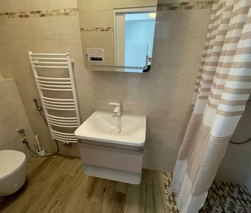 JOINVILLE : APPARTEMENT 5 PIECES MEUBLE 130 M2 - Photo 3