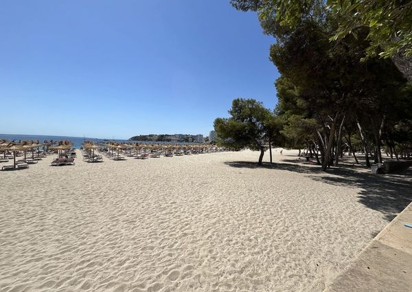 6 Carrer Emili Darder, Palma Nova, Balearic Islands 07181