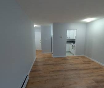 $1,950 / 1br - Beautiful, spacious fully renovated 2nd level suite - Photo 4