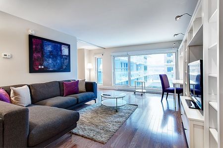 Condo for rent, Montréal (Ville-Marie) - Photo 2
