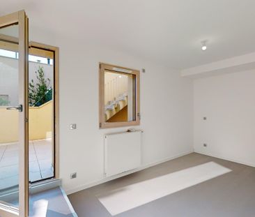 Ferney-Voltaire - Magnificent house for rent with garden - Photo 1