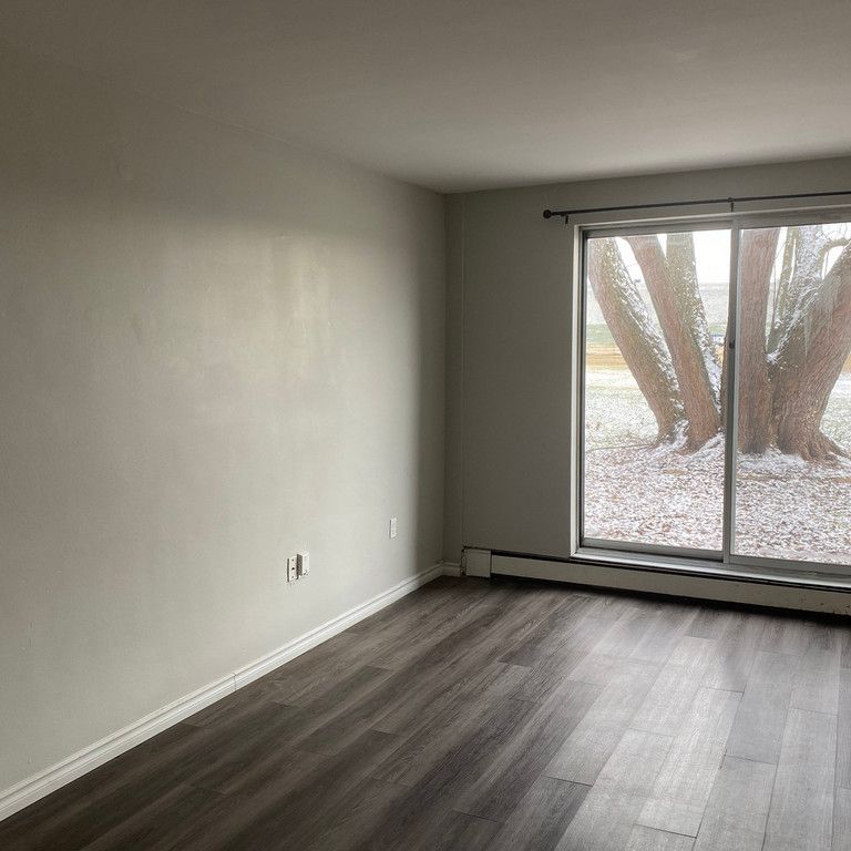 One Bedroom Apartment - Photo 1