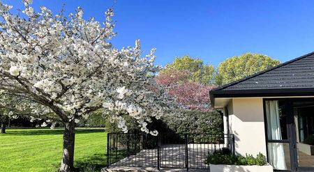 Luxury Fully Furnished Rooms - Minutes from CBD - Photo 4