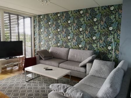 Snäckbacken, Visby - Foto 2