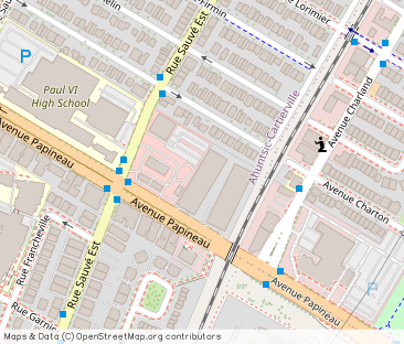 9675 Papineau - Photo 1