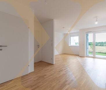 Gemütliche 2-Zimmer-Wohnung mit sonniger Loggia in St. Pölten - Mie... - Photo 4