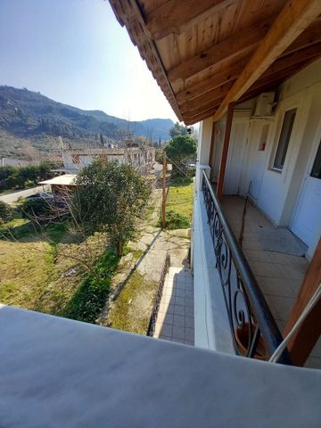 Μονοκατοικία για ενοικίαση Νεραντζιές (Αιγιάλεια) - Photo 2