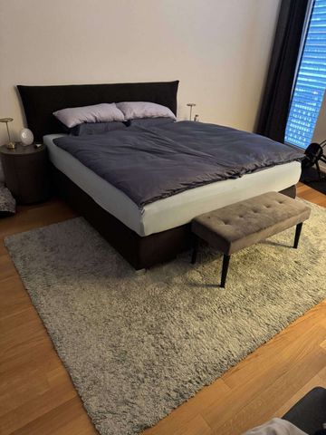 31/2-ROOM APARTMENT IN ZURICH - DISTRICT 5 INDUSTRIAL DISTRICT, FURNISHED - Photo 4