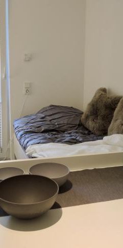 Möblierte Apartments mit Balkon - Photo 1