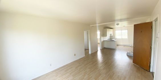 Appt 4 1/2 Avec 5 électros Inclus - Photo 3