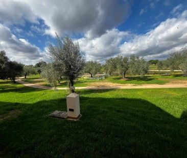 San Jorge / Sant Jordi - Photo 1