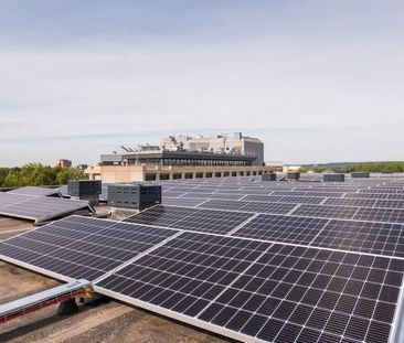 Te huur: Appartement Groningensingel in Arnhem - Foto 2