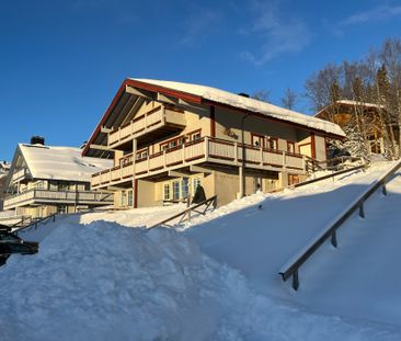 Mellan alpen, Åre - Foto 2