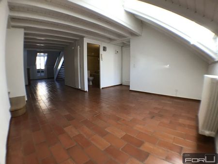 Superb atypical penthouse in the Vieux-Carouge - Photo 5