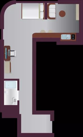 Platinum Plus Studio - Photo 3