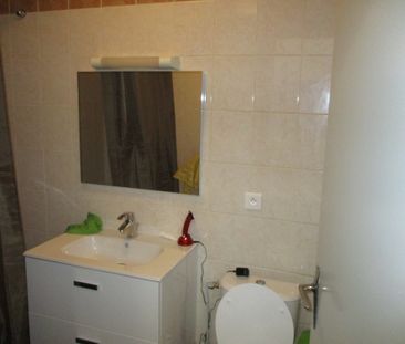 Location Appartement 1 pièce 31m² ROANNE 42300 - Photo 2