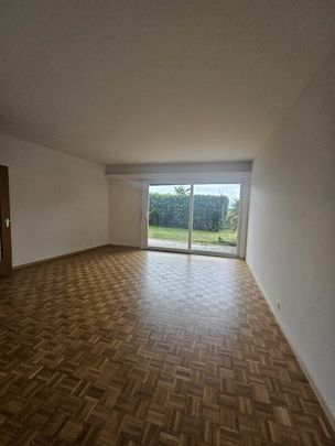 3.5 locali con giardino - Photo 1