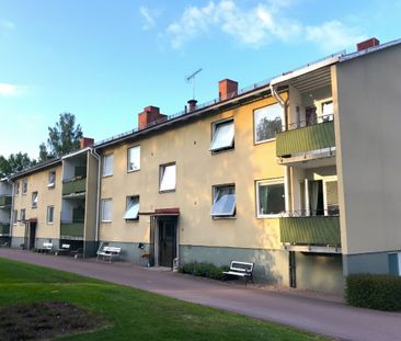 Avesta Hede: Tvåa i markplan - Foto 4