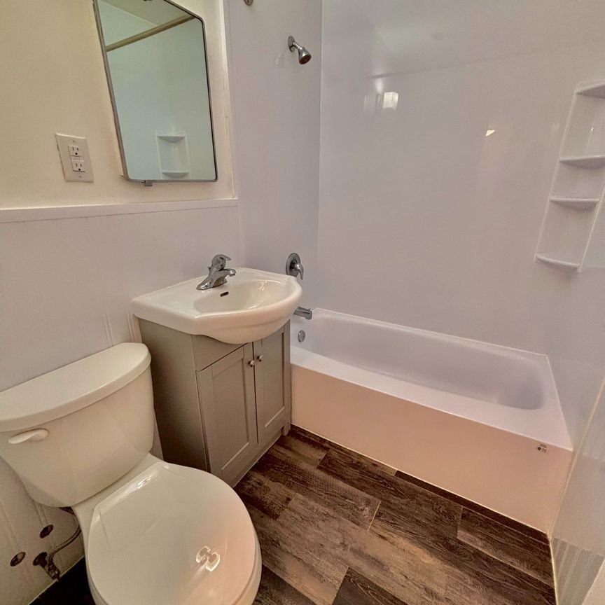 For Lease - 109 Beech Avenue Unit# 202, Toronto, Ontario - Photo 1