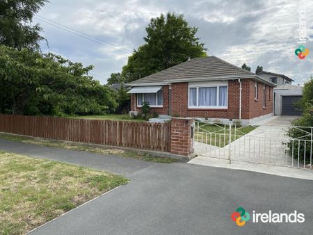 Homely on Horseshoe! - Photo 4