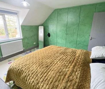 Low Road, Norton Subcourse, NR14 - Photo 4