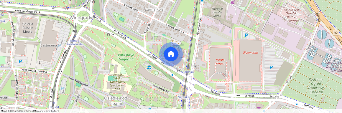 ul. Serbska, Winogrady, Stare Miasto, Poznań, wielkopolskie