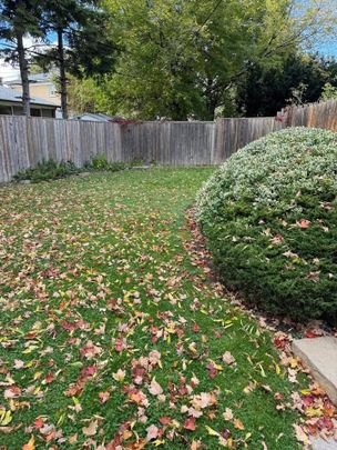 For Lease - 20 Roseglor Crescent Unit# Main-Upper level, Toronto, Ontario - Photo 1