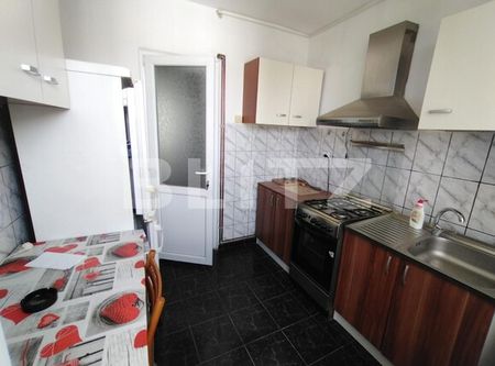 Apartament de 2 camere, 45 mp, Centrala, A.C., zona Calea Severin - Fotografie 4
