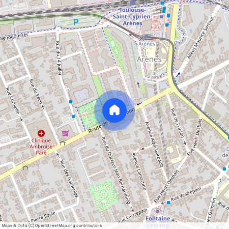 TOULOUSE - LES ARENES