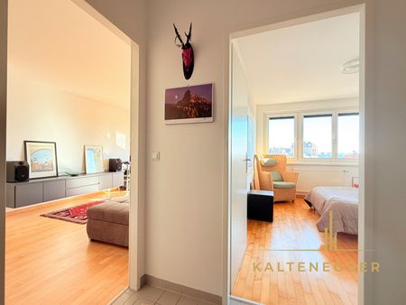 Modernes Zuhause für Singles und Paare: Helle 2-Zimmer-Wohnung mit Loggia bei U6 Alterlaa - 5. Stock - Photo 5