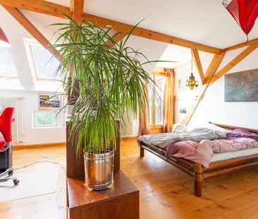 Grossbasel MFH Elisabethenstrasse - Foto 3