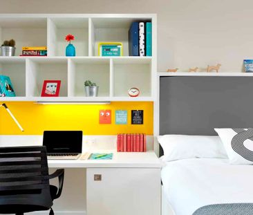 Studio Raven Deluxe - Photo 5