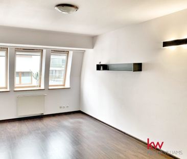 Wynajem 2-pok mieszkania | Jeżyce – Bamberski Dwór - Photo 2