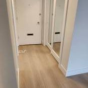 Newly Renovated Pet Friendly 1 Bedroom Suite - Photo 4