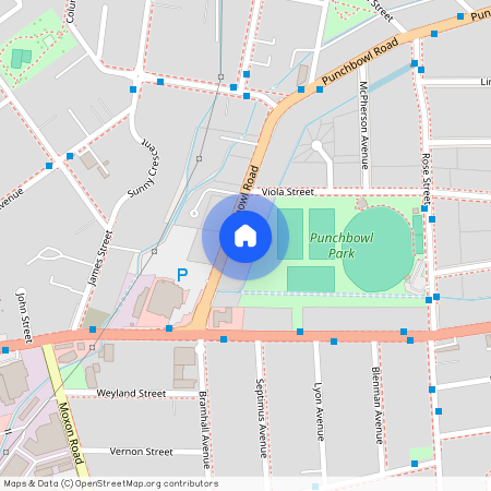 982 Punchbowl Road, Punchbowl, NSW 2196