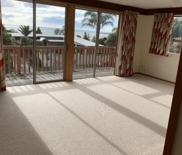 Large Family Home in Atawhai - Photo 3