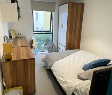 Premium Ensuite - Photo 5