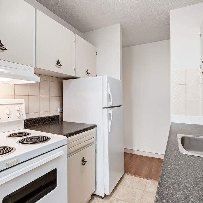 Renovated Suite - 1 Bedroom - Photo 1