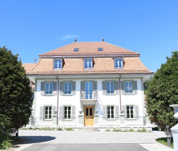 1 PIÈCES - Au calme ! - Photo 3