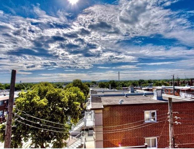 Condos Locatifs 2021 3 ½ à Louer - Photo 1