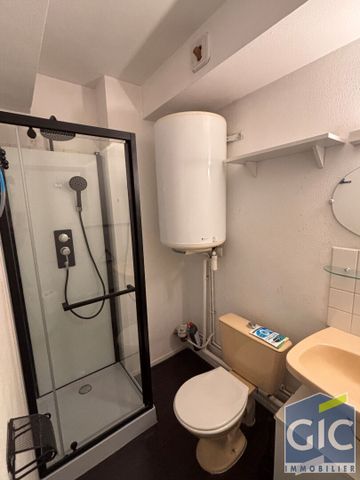 Location Appartement 1 pièce 25m² - Photo 4