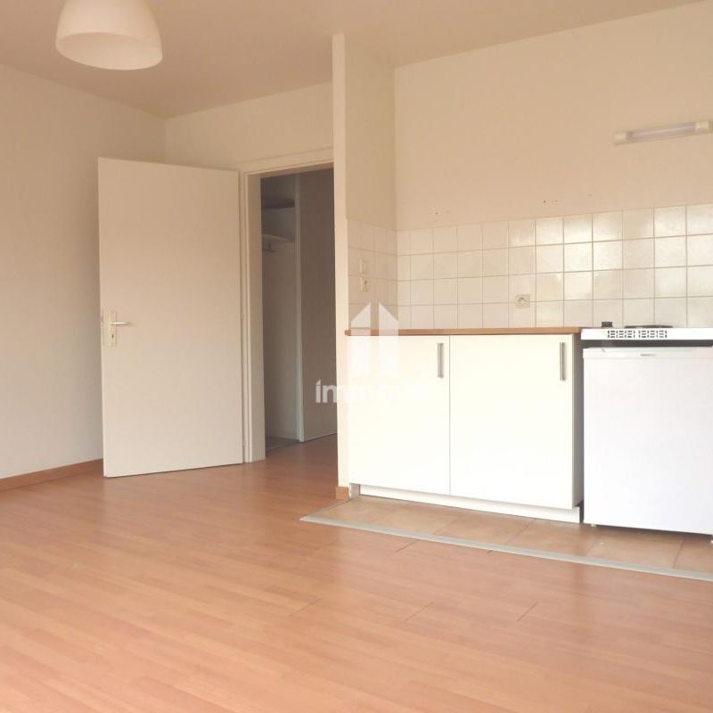 Location Appartement 1 pièce 20m² SCHILTIGHEIM 67300 - Photo 1