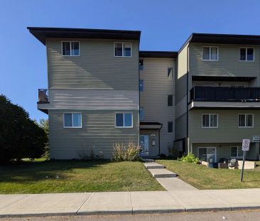 Spacious 3-Bedroom, 2 Bath, Townhouse-Style Apartment in Belvedere - NO PETS — 3 Bedrooms Townhouse - Photo 1